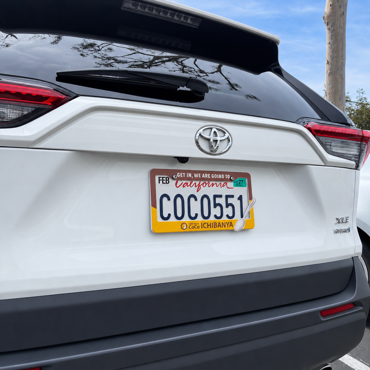 License Plate Frame