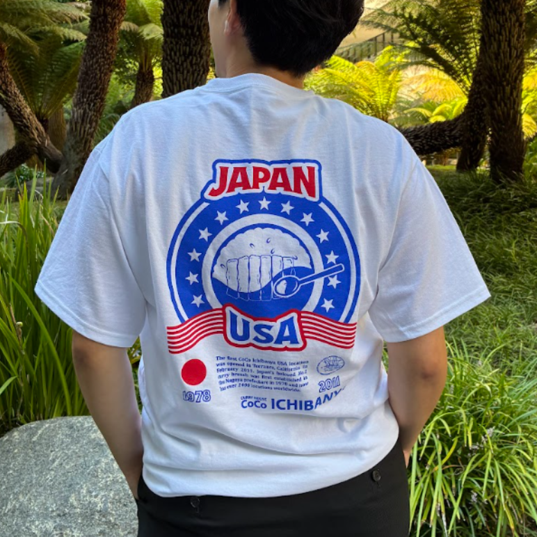 USA Shirt